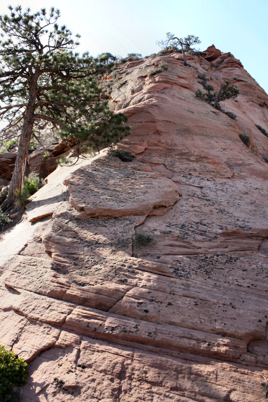 Tabernacle Dome slabs